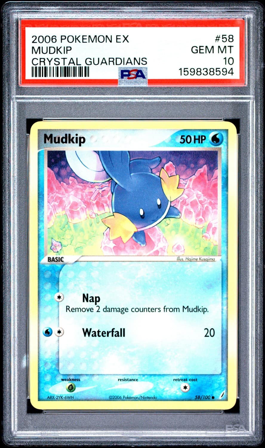 Mudkip