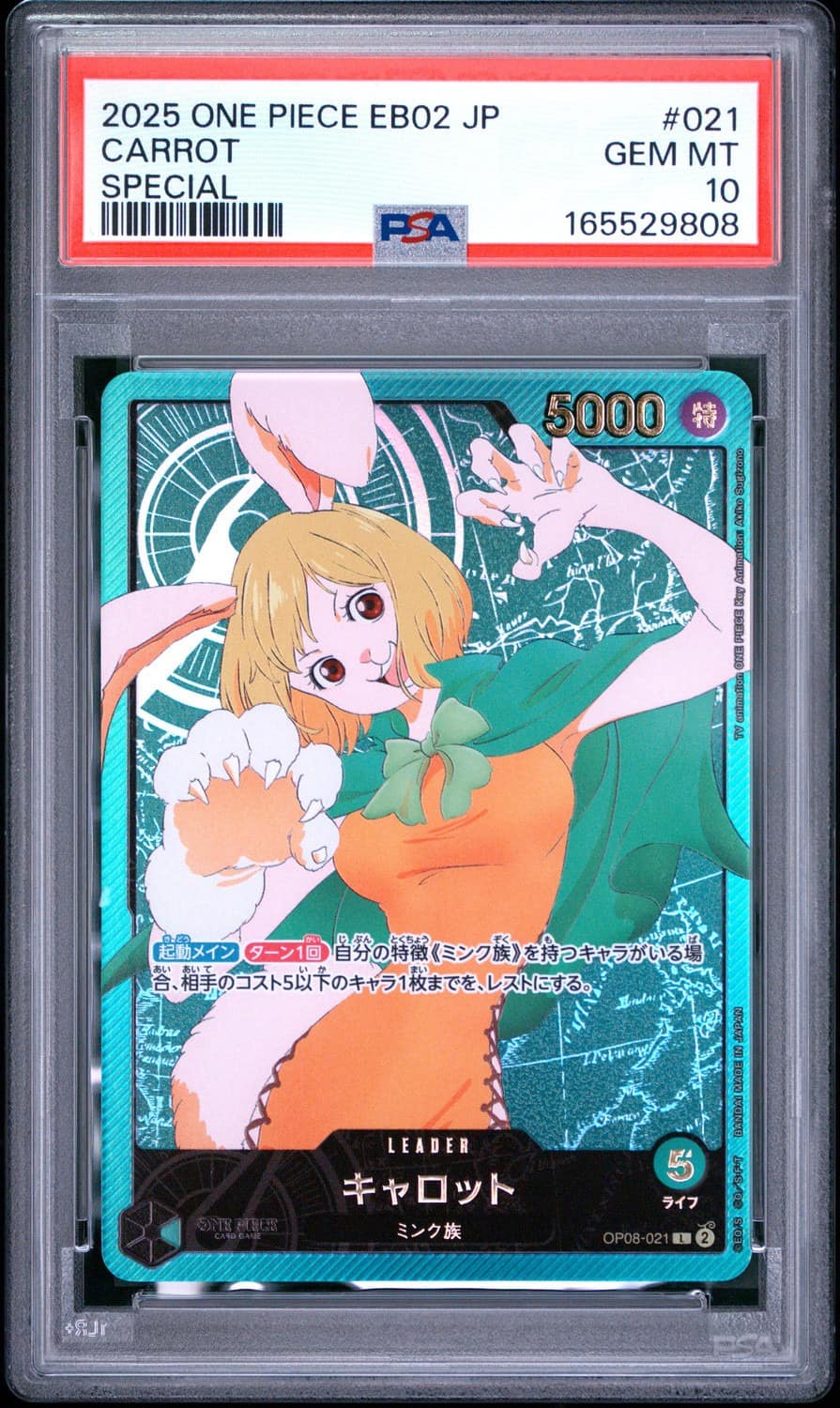 Carrot