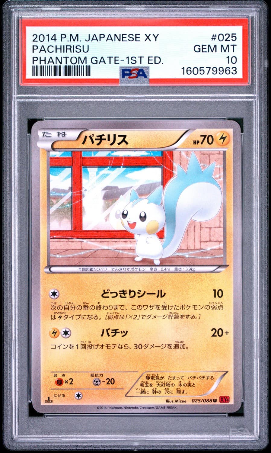 Pachirisu