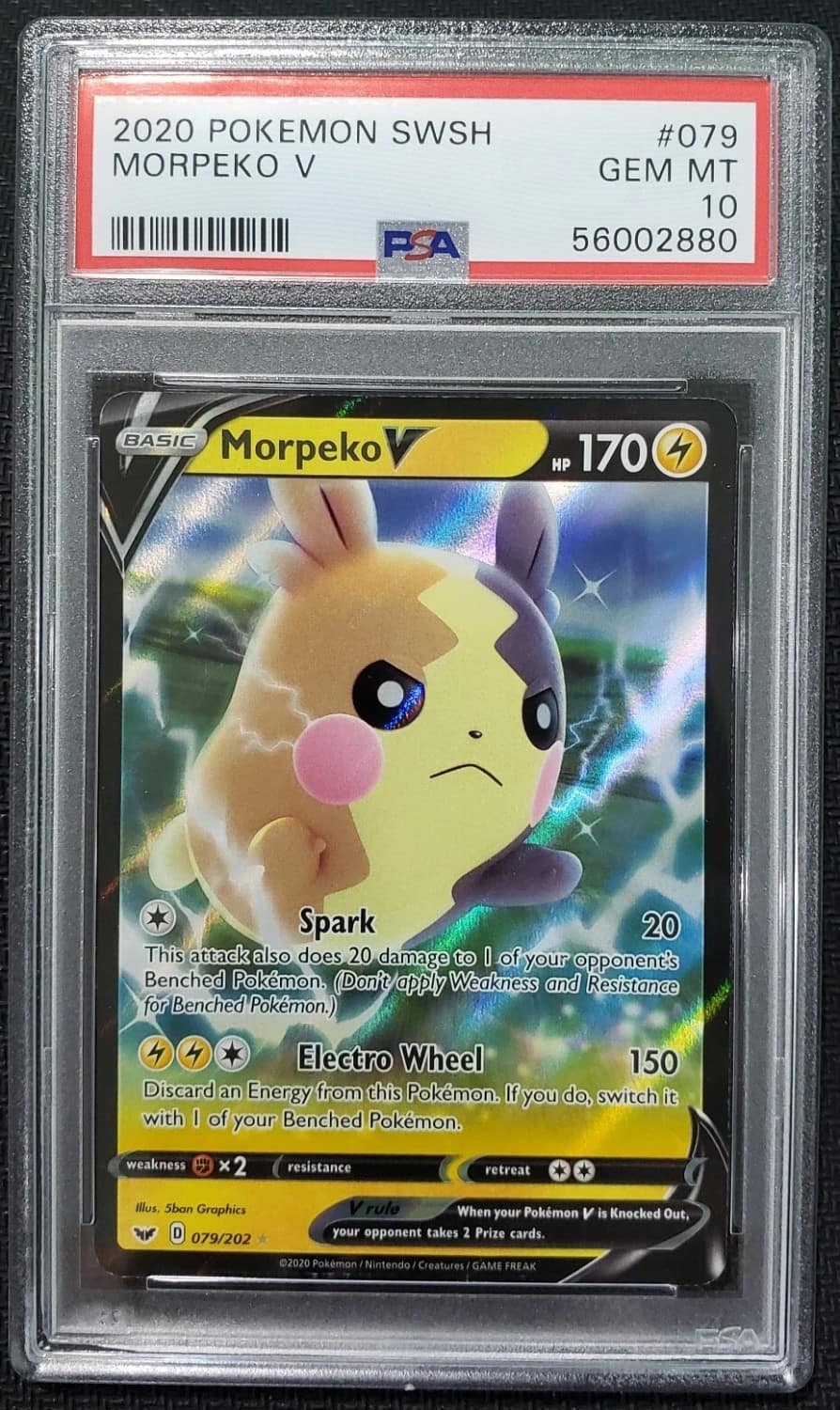 Morpeko V