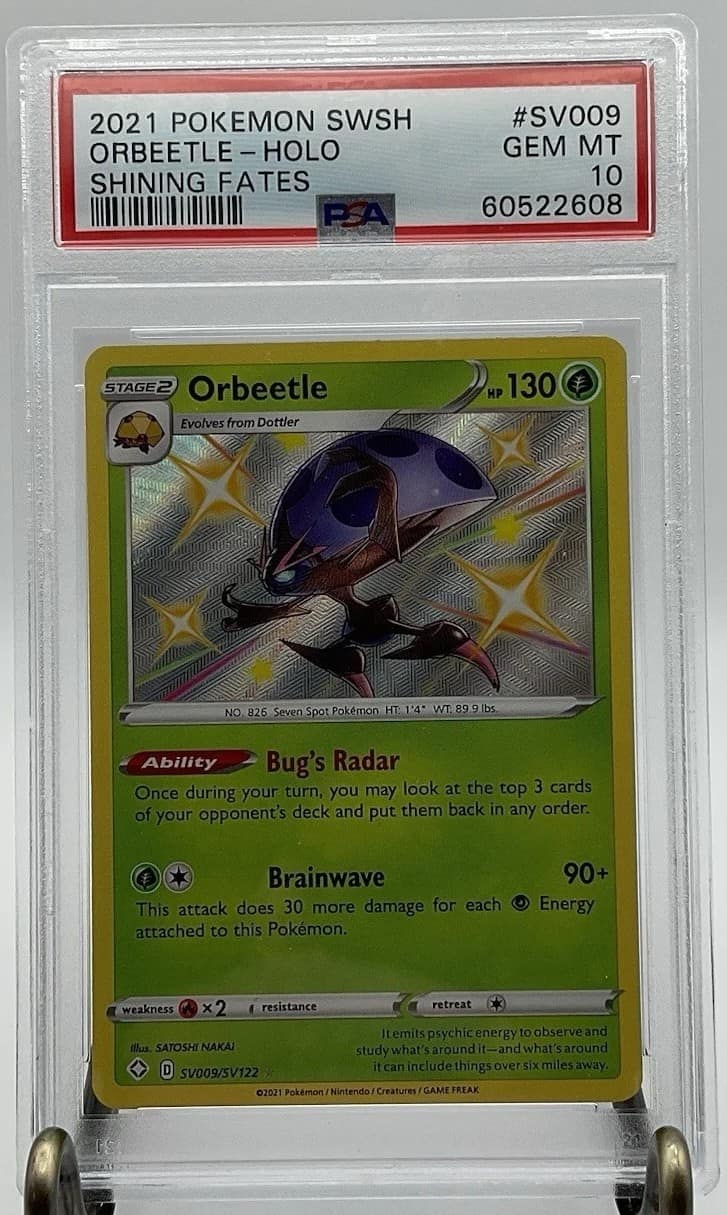Orbeetle