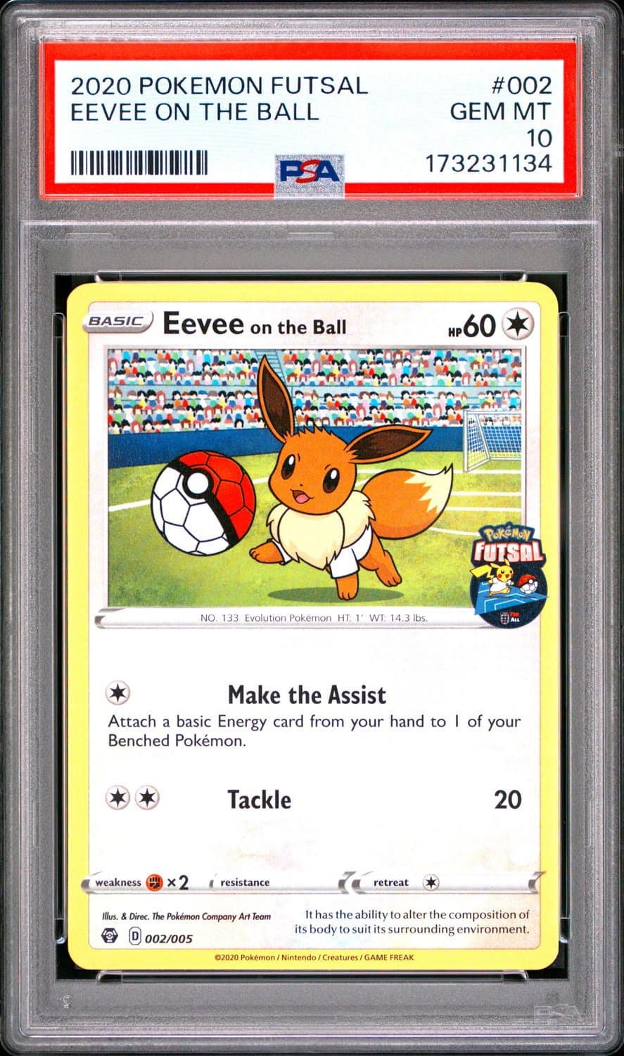 Eevee On The Ball