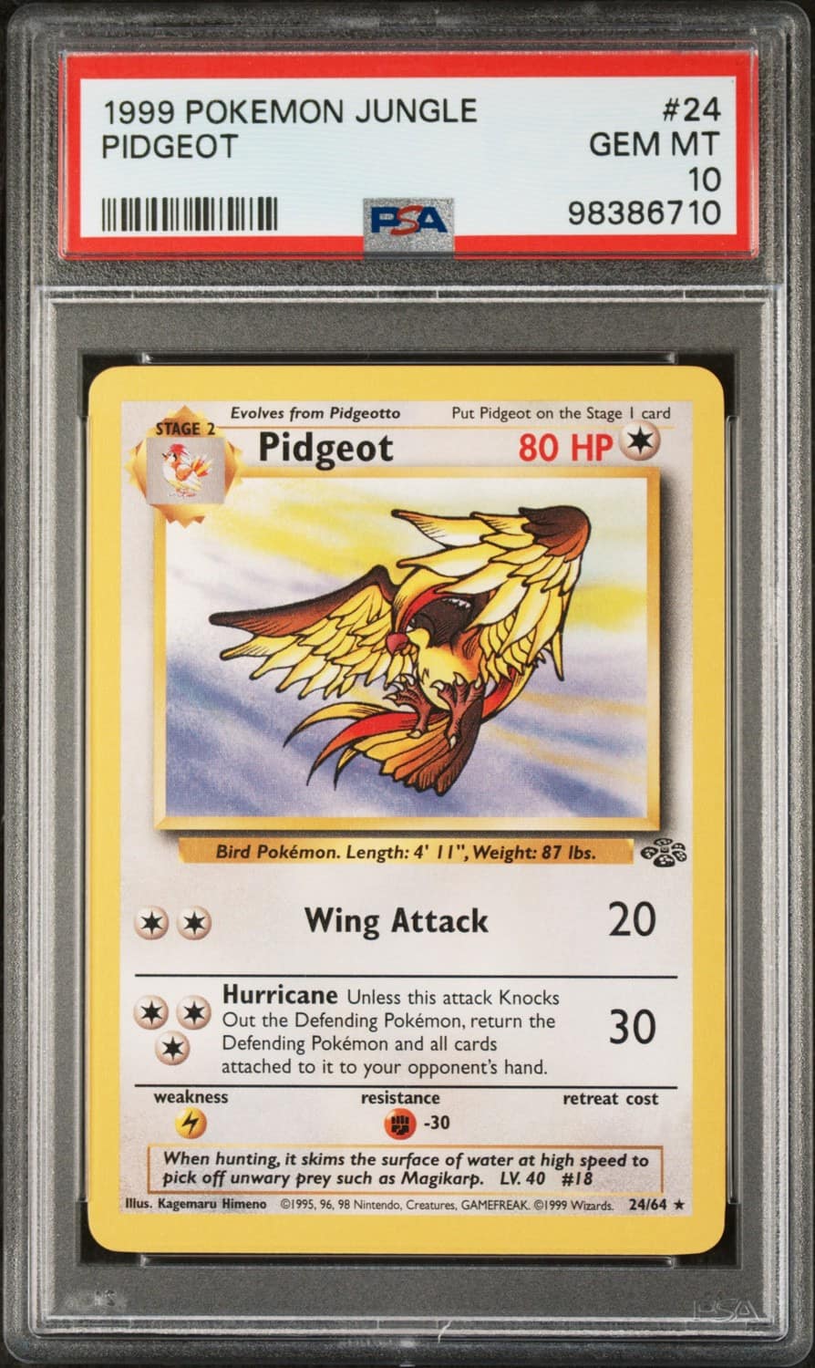 Pidgeot