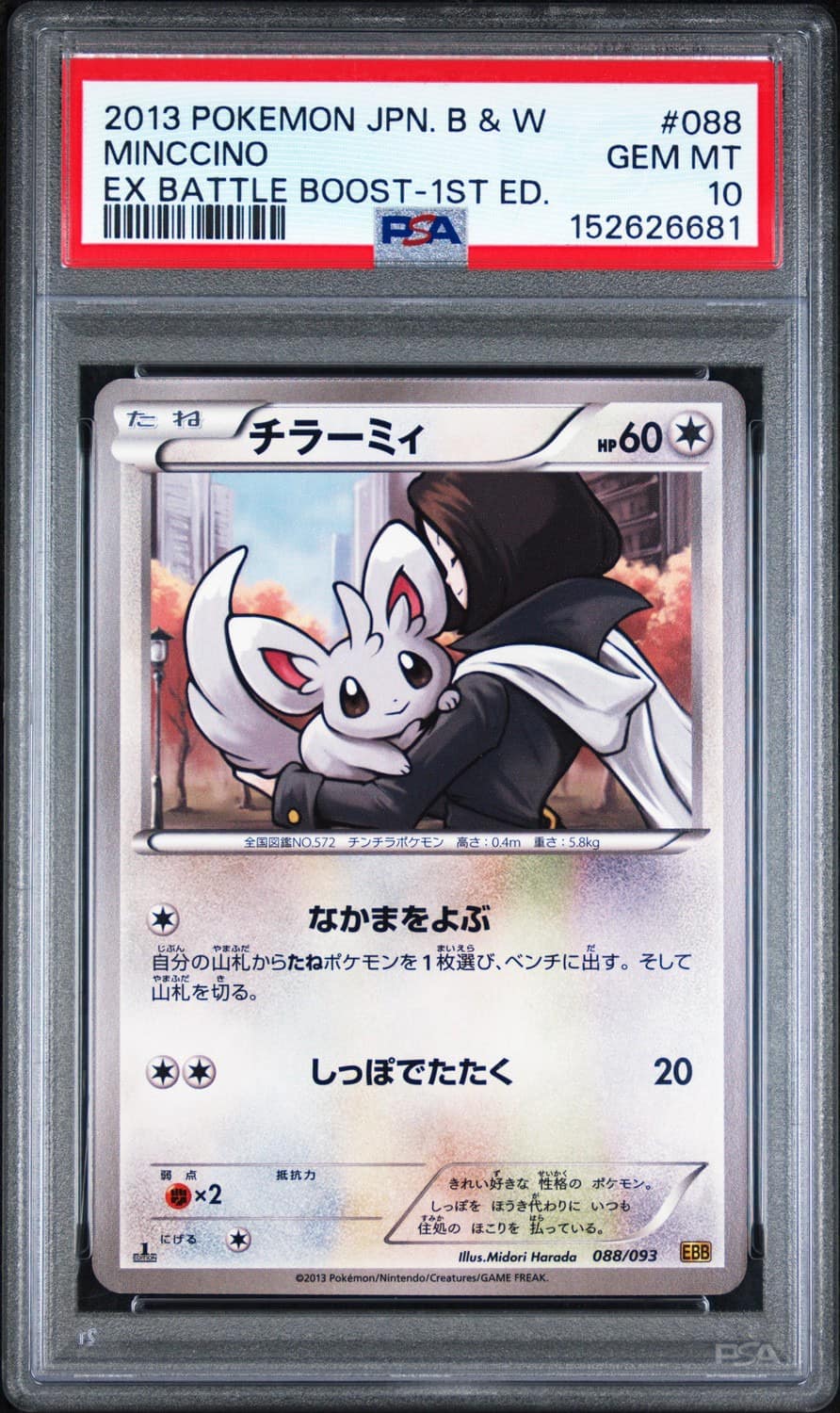 Minccino
