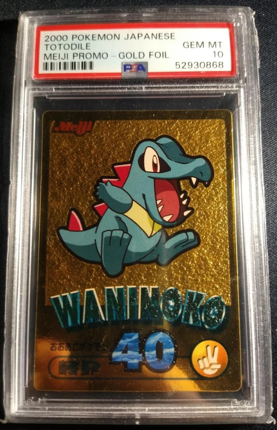 Waninoko