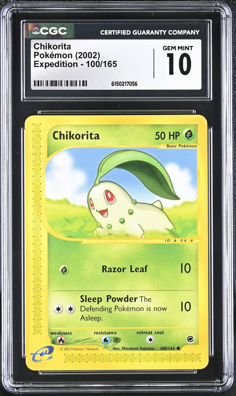 Chikorita