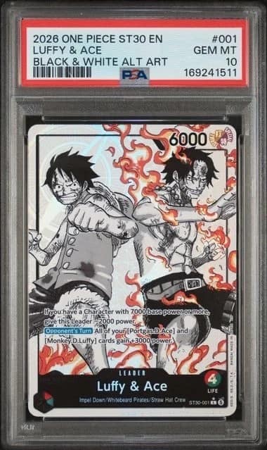 Luffy & Ace
