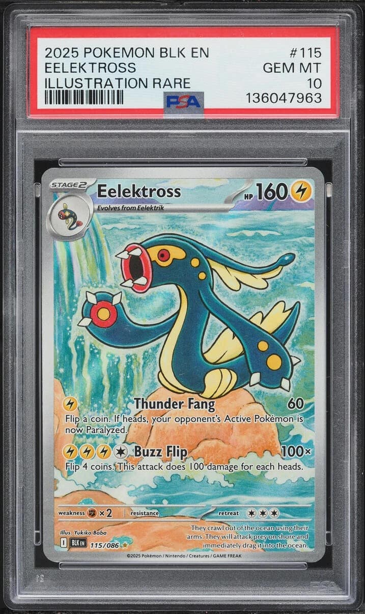 Eelektross