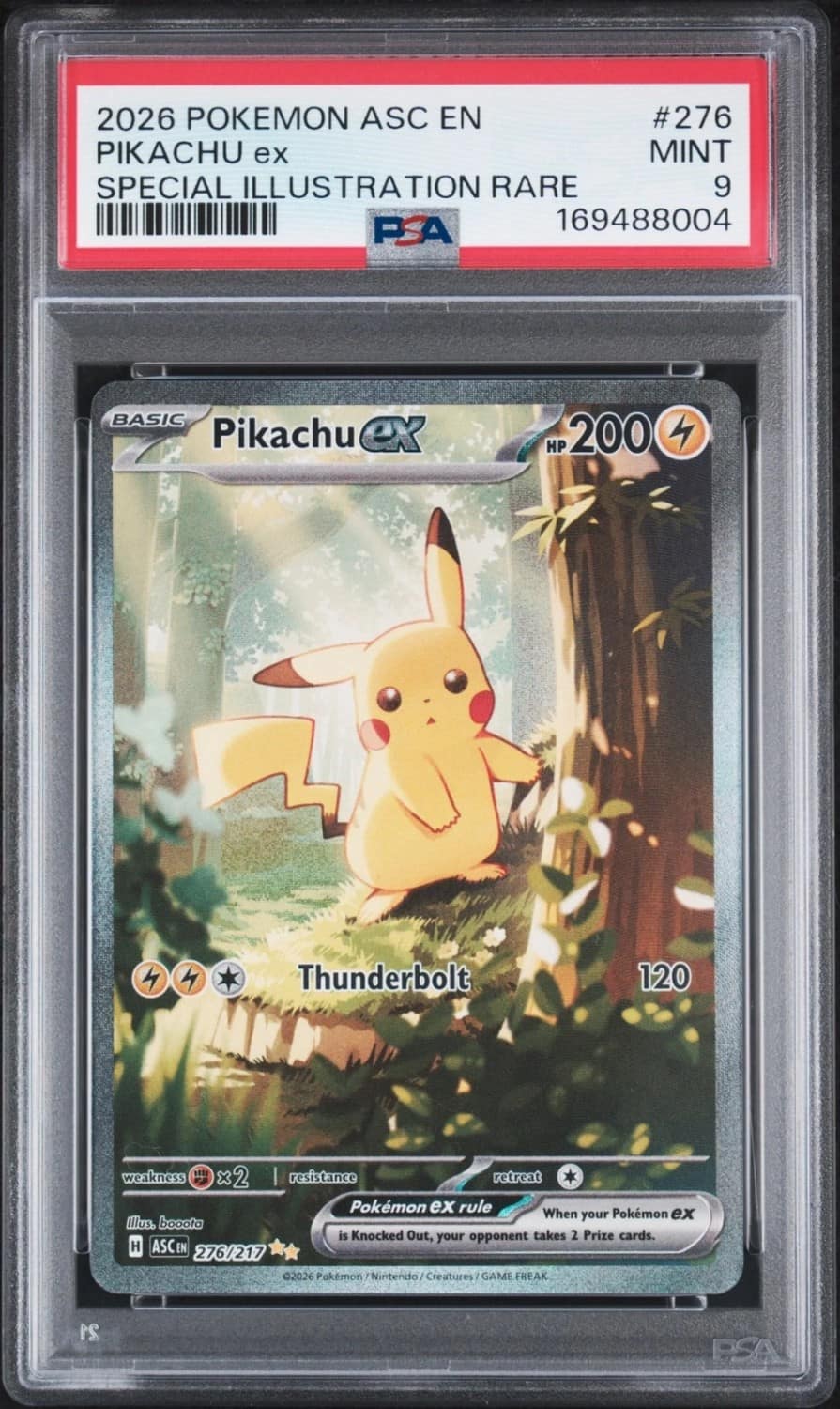 Pikachu Ex