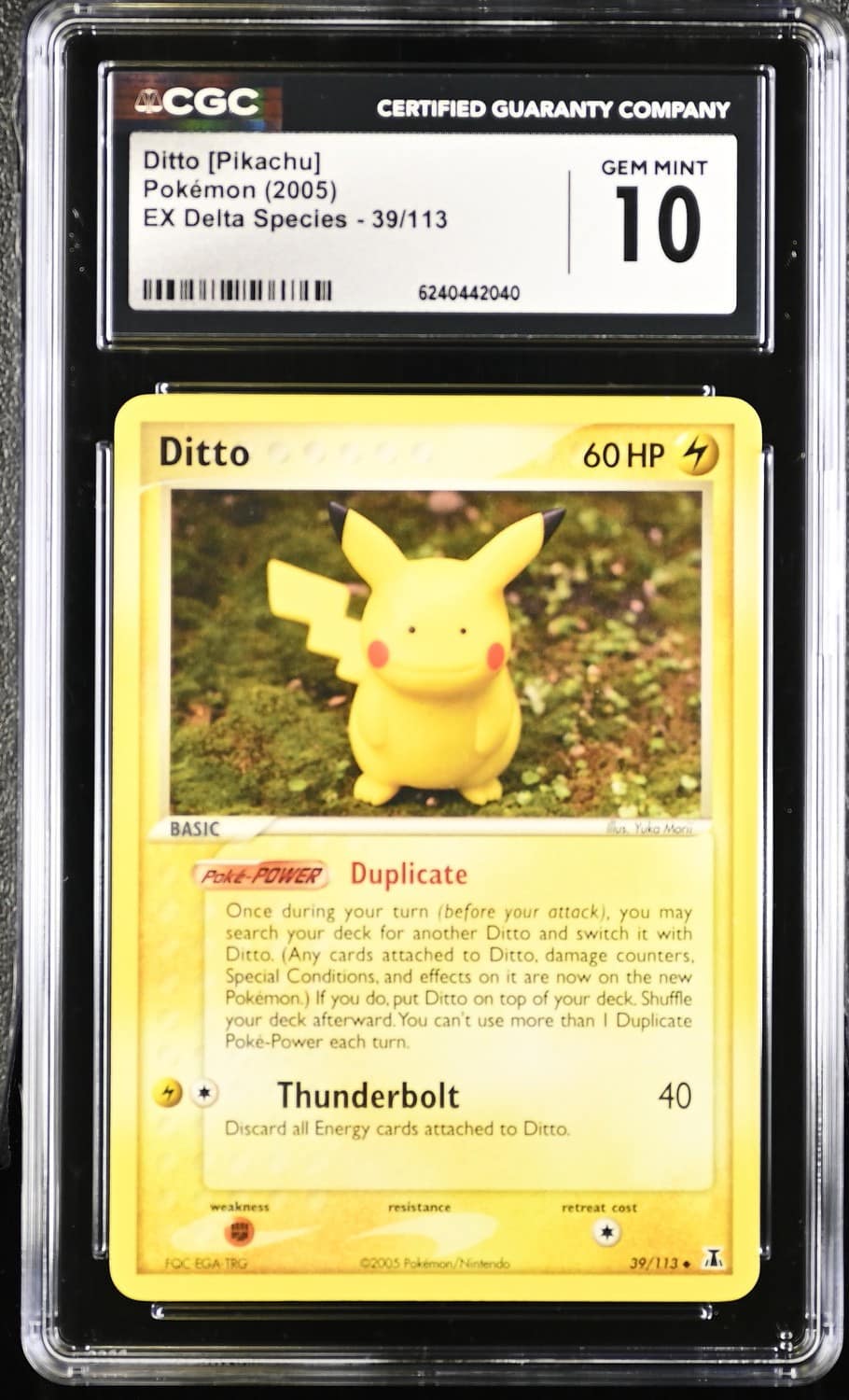 Ditto