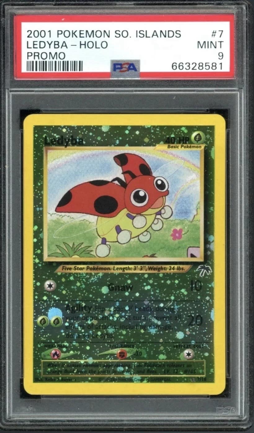 Ledyba