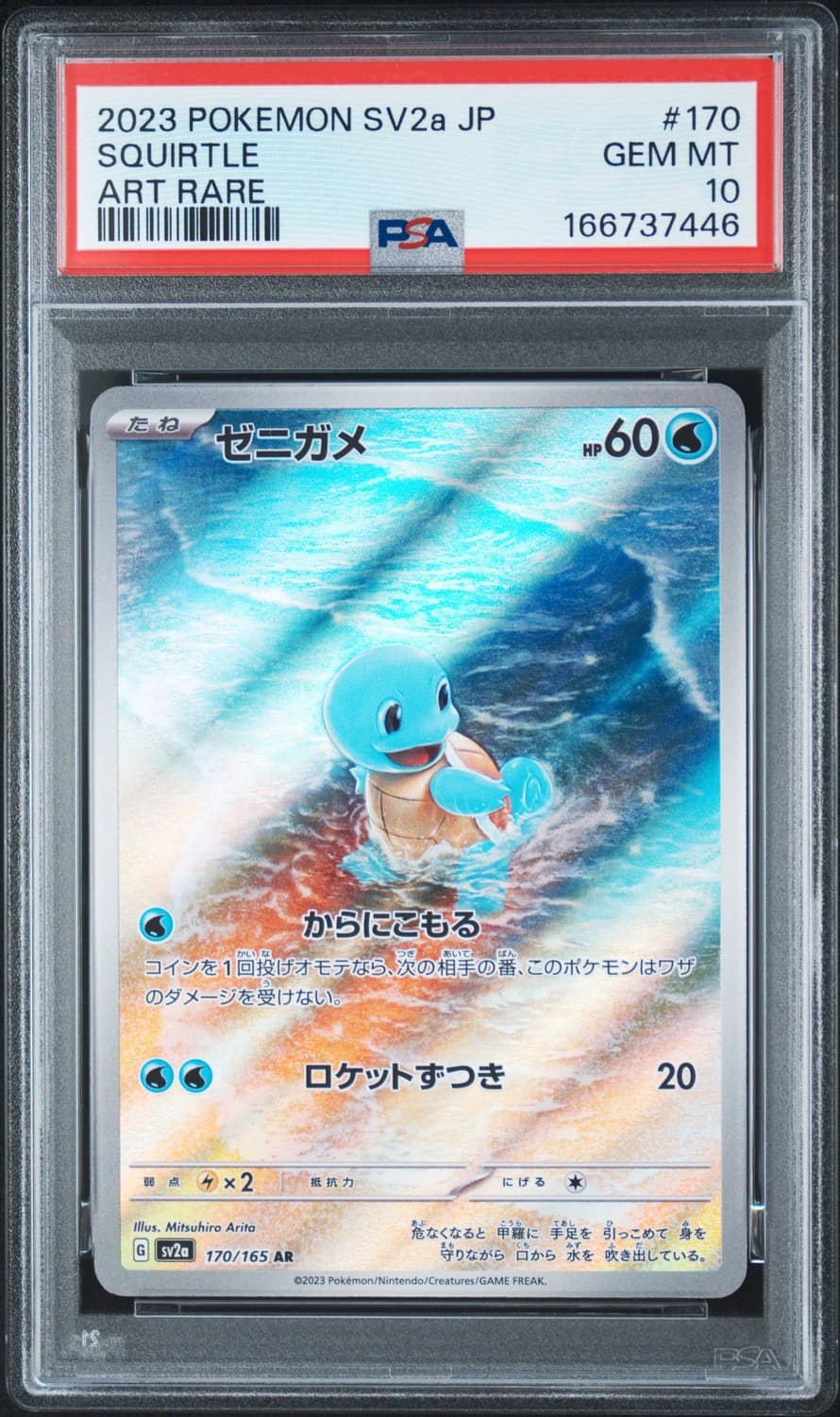 Squirtle