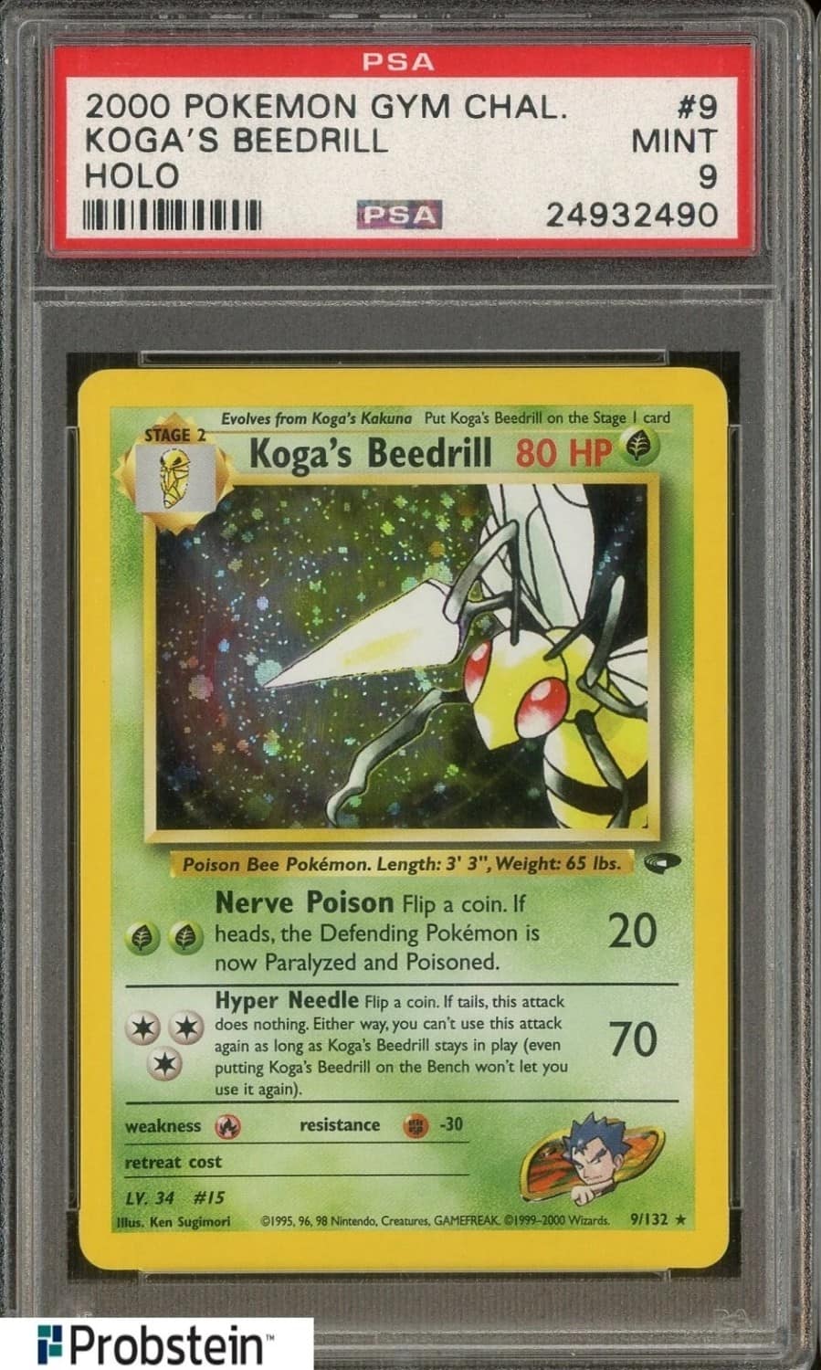 Koga'S Beedrill