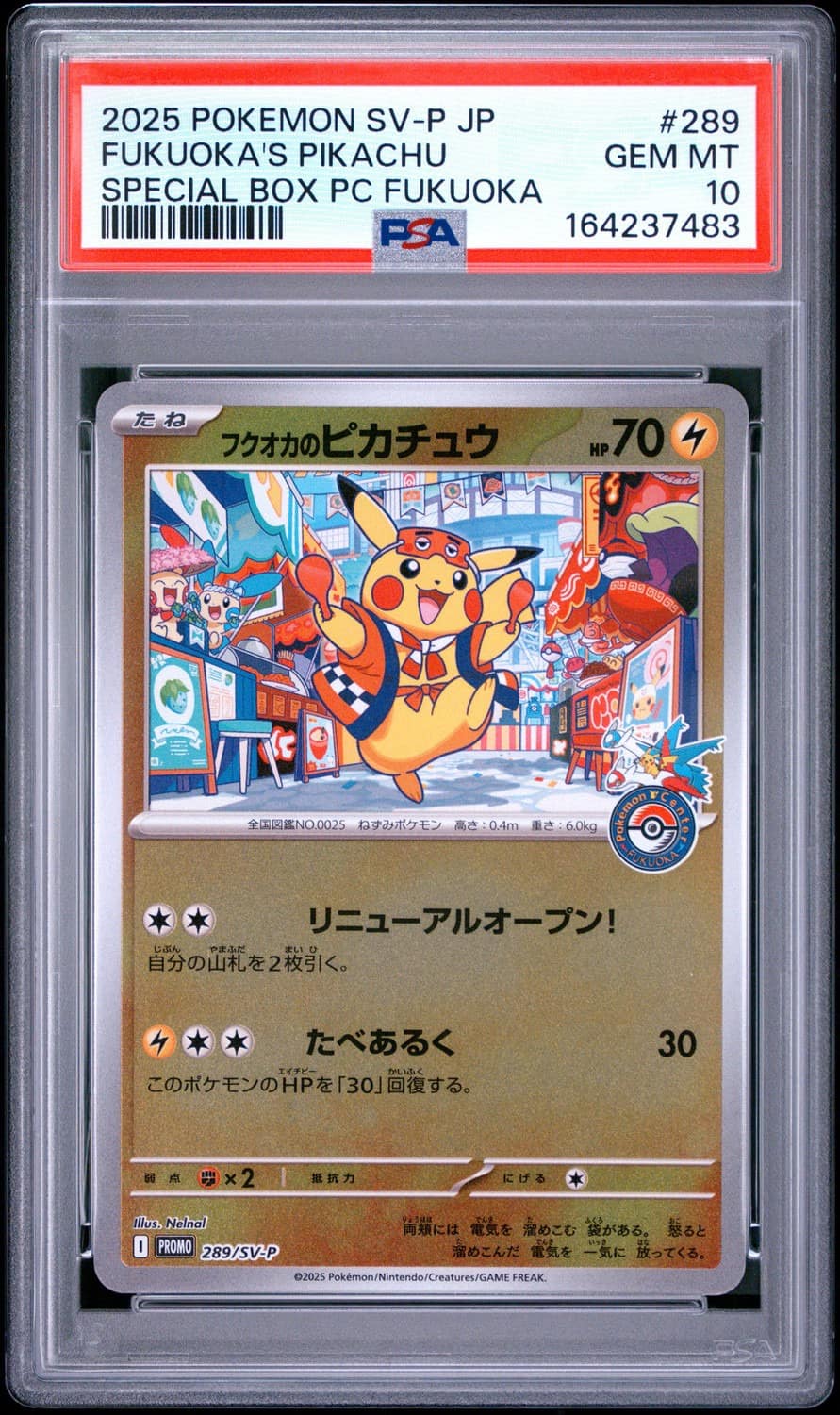 Fukuoka'S Pikachu