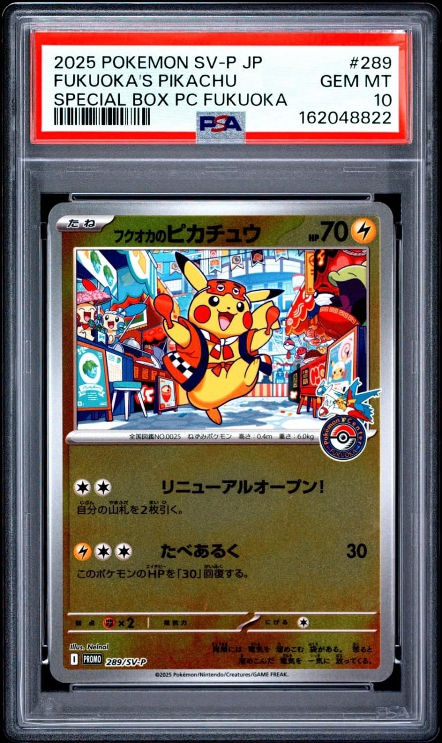 Fukuoka'S Pikachu
