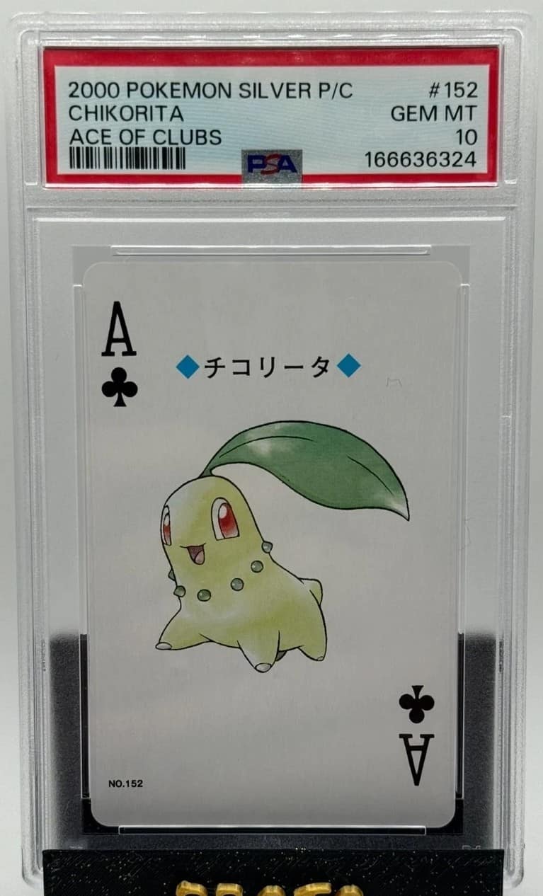 Chikorita