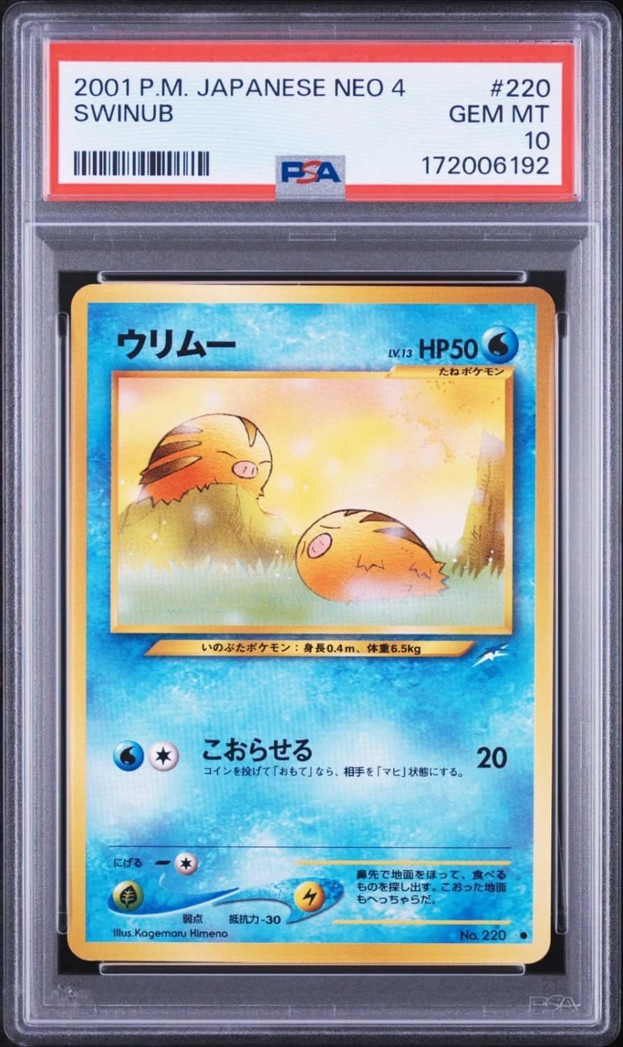 Swinub