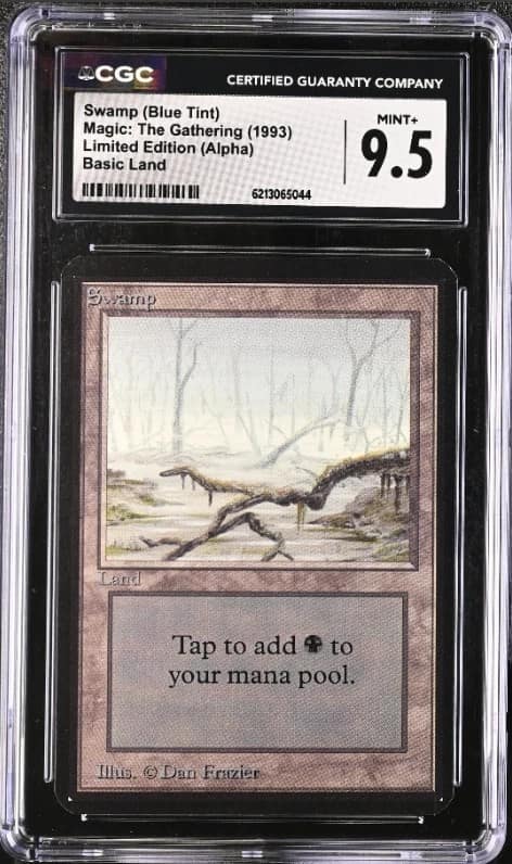 Swamp (blue Tint)