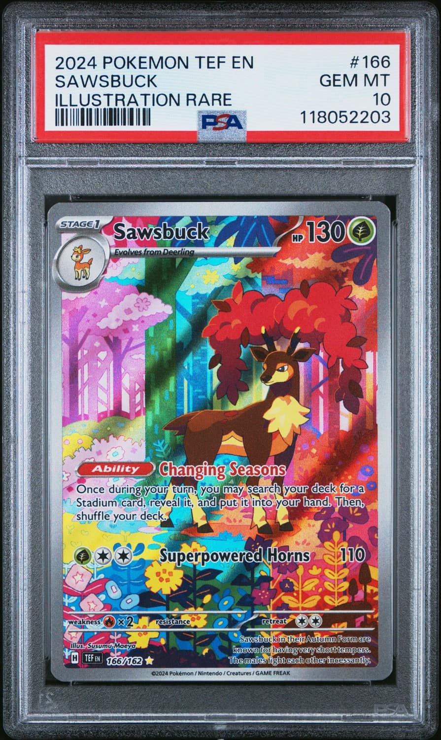 Sawsbuck