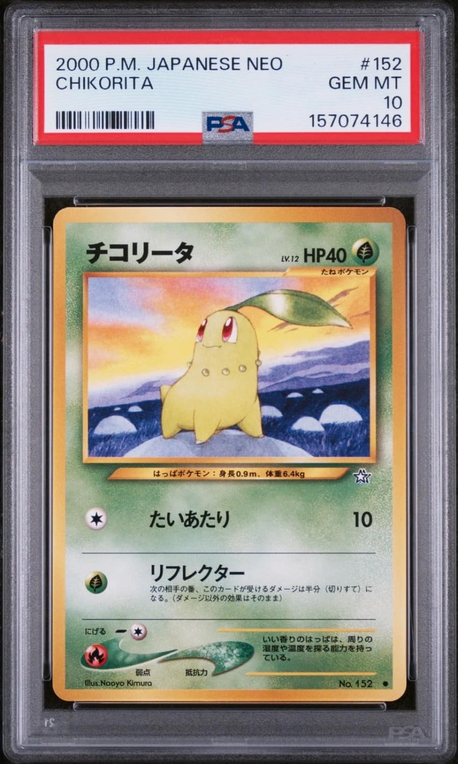 Chikorita