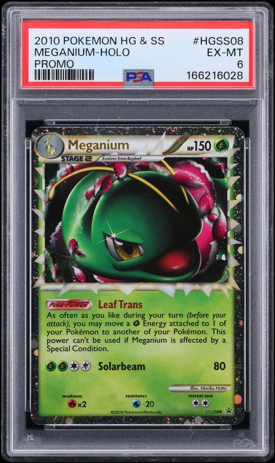 Meganium