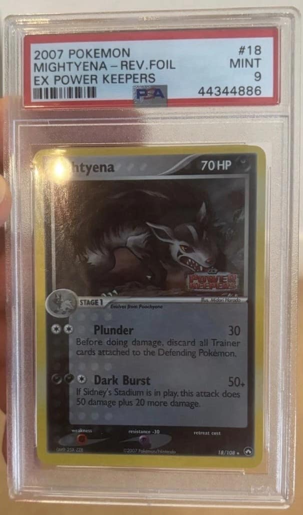 Mightyena