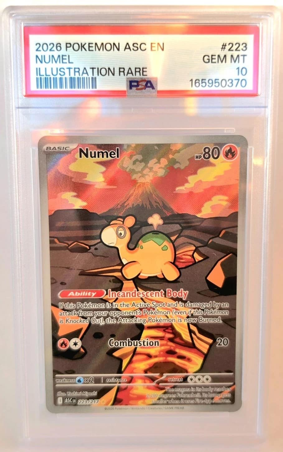 Numel