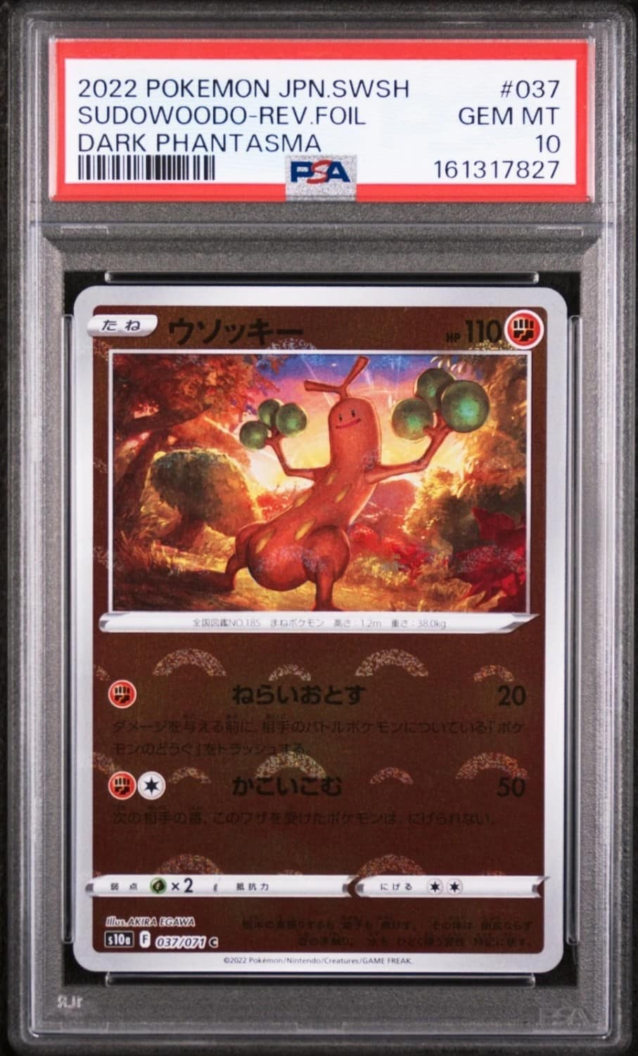 Sudowoodo