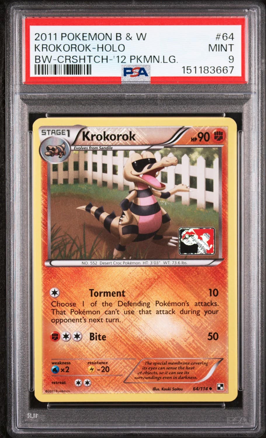 Krokorok