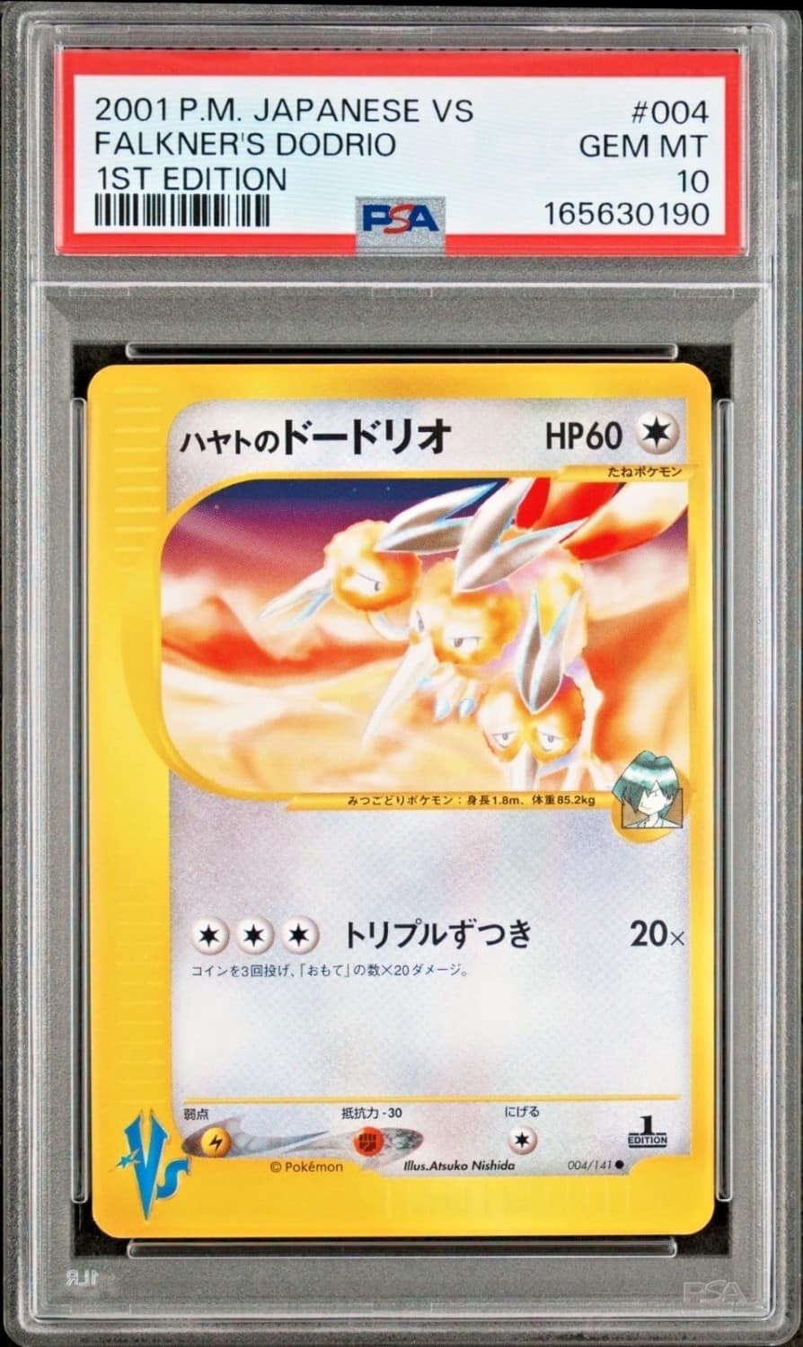 Falkner'S Dodrio