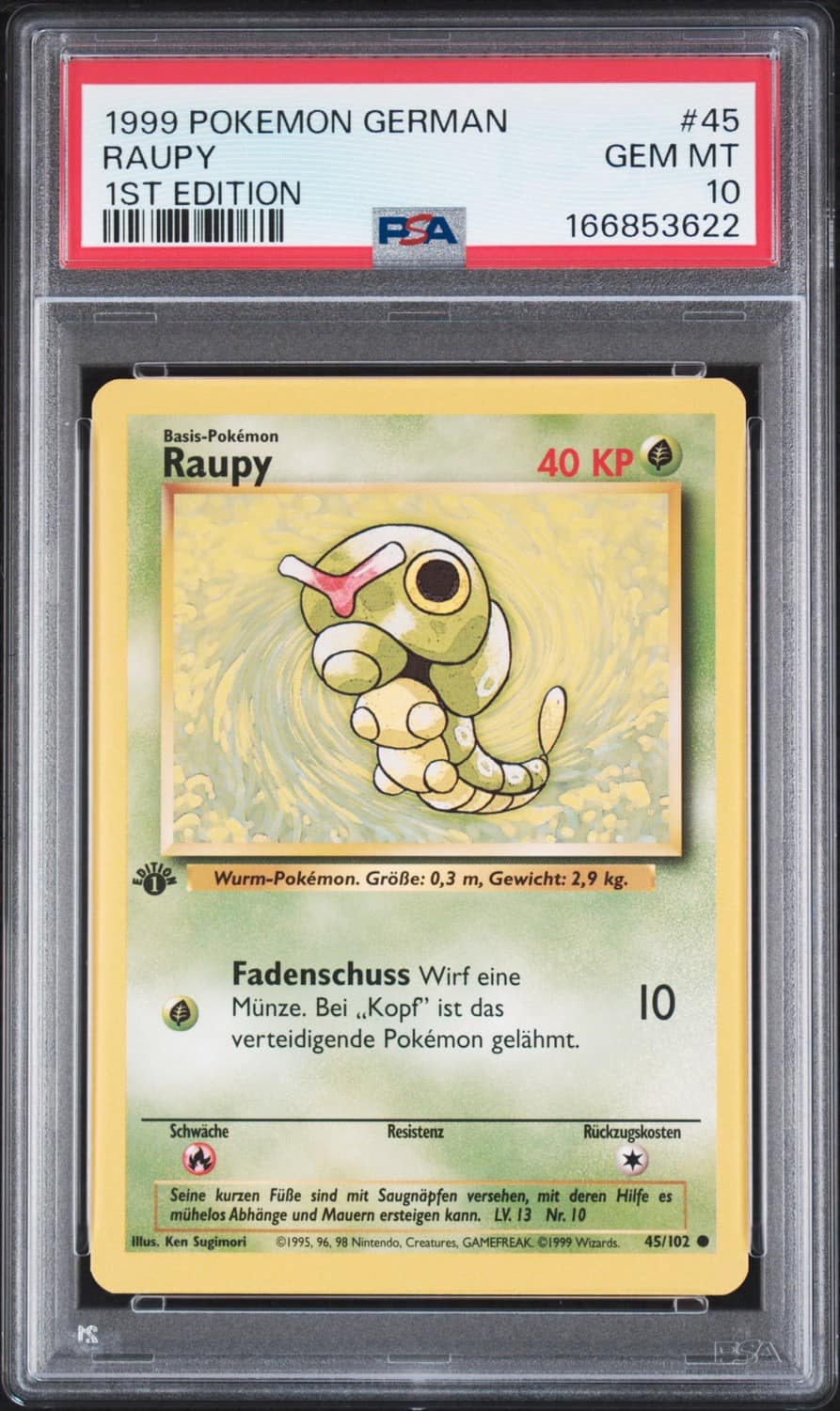 Raupy