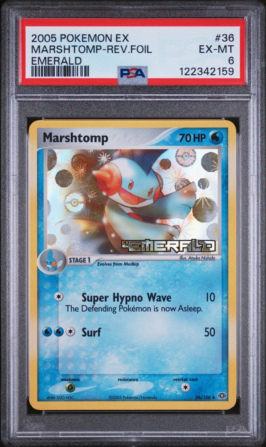 Marshtomp