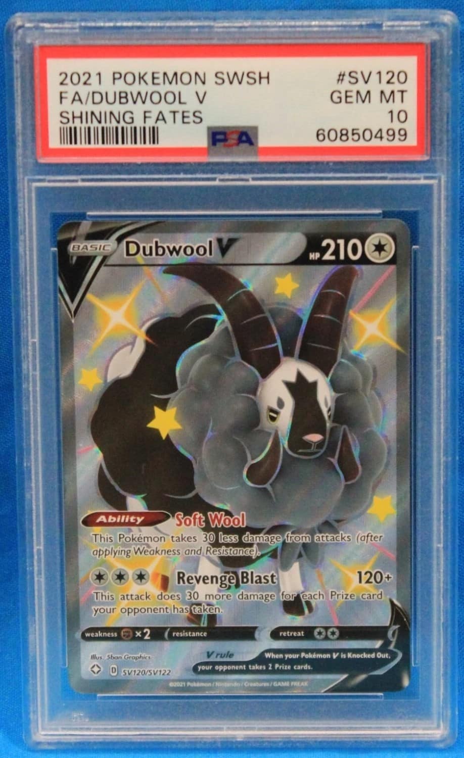 Dubwool V