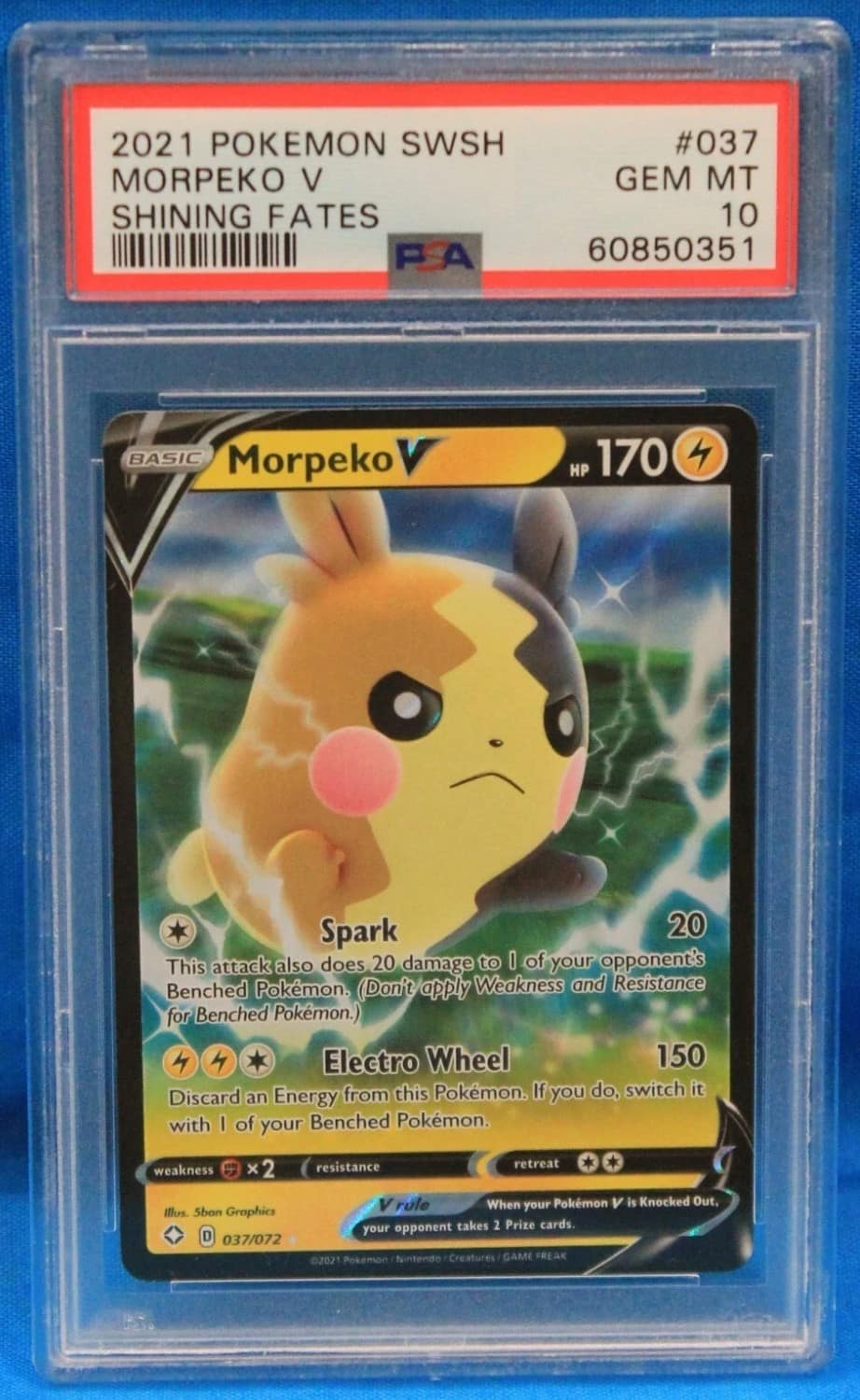 Morpeko V