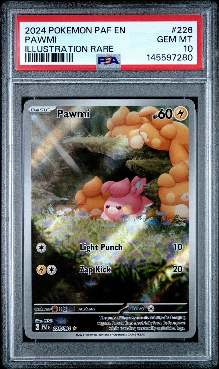 Pawmi