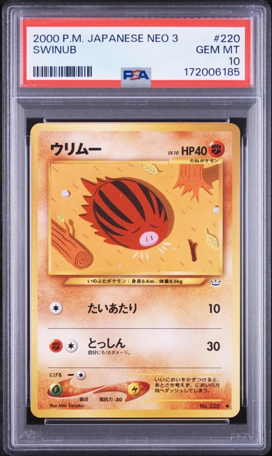 Swinub