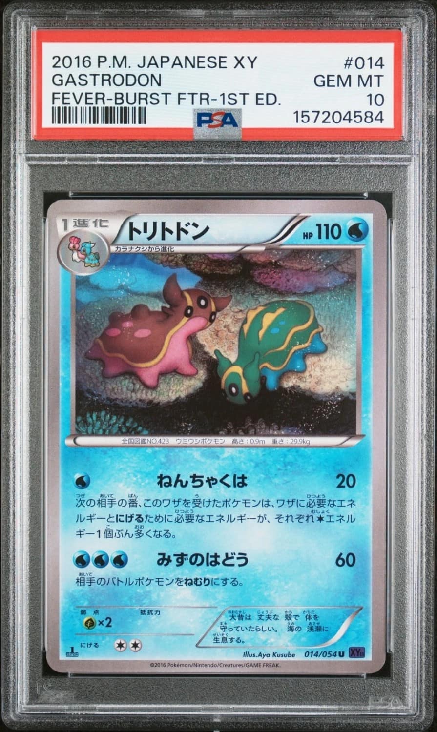 Gastrodon