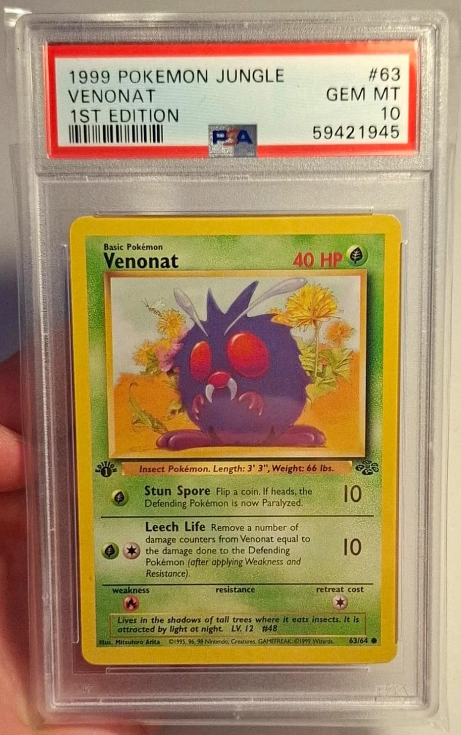 Venonat