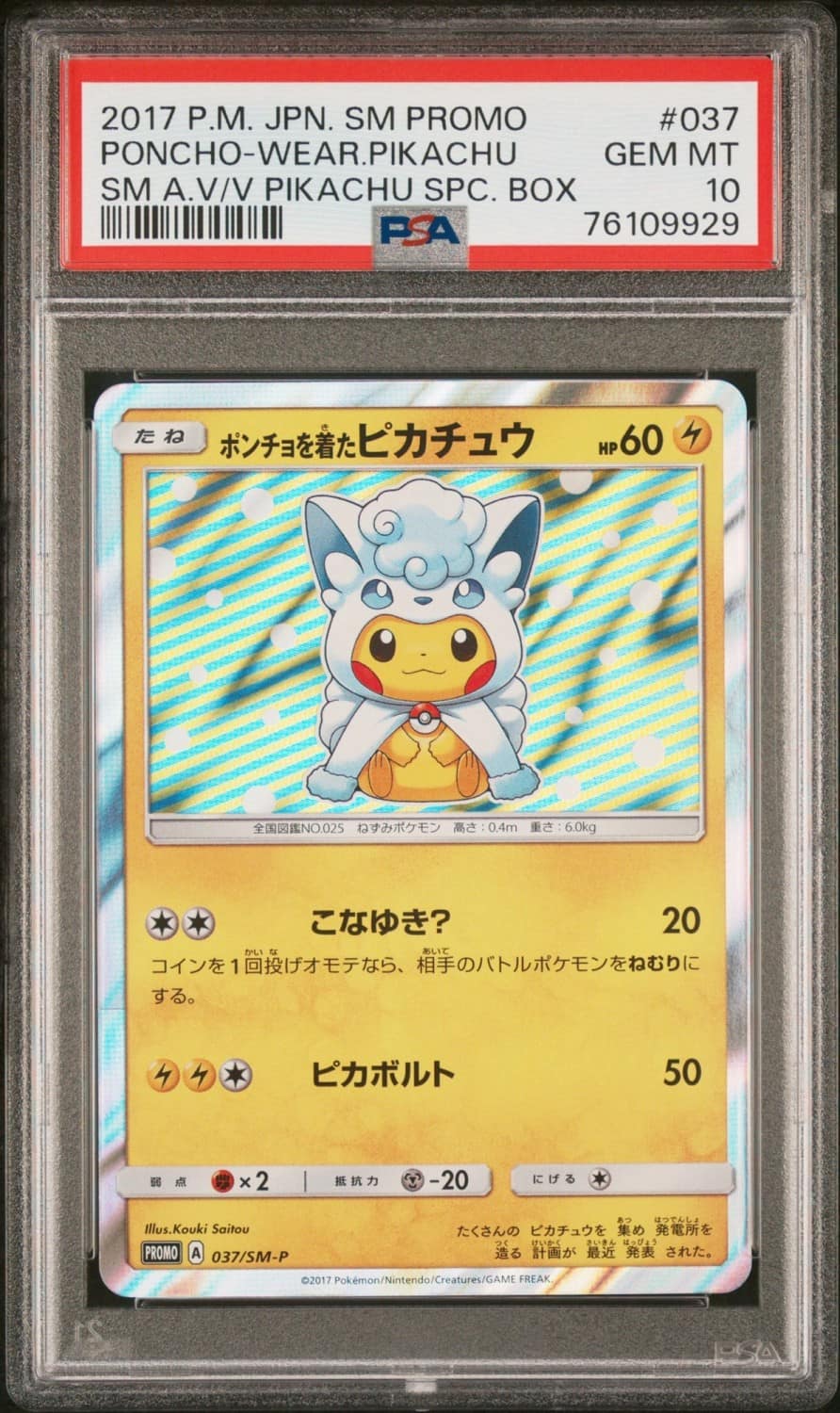 Poncho-Wearing Pikachu