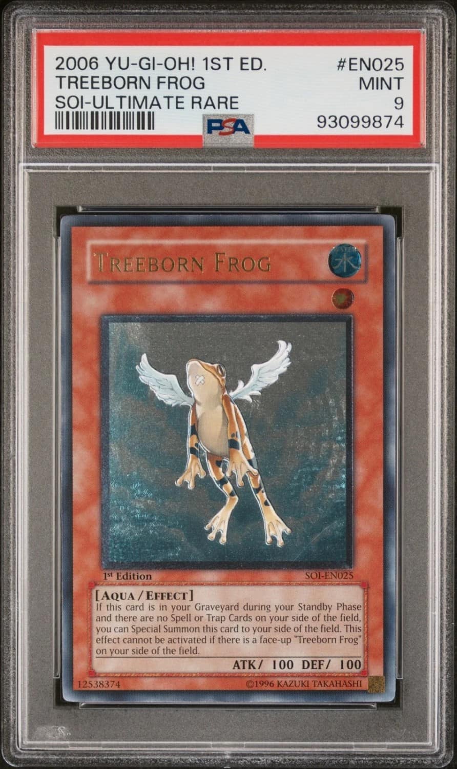 Treeborn Frog