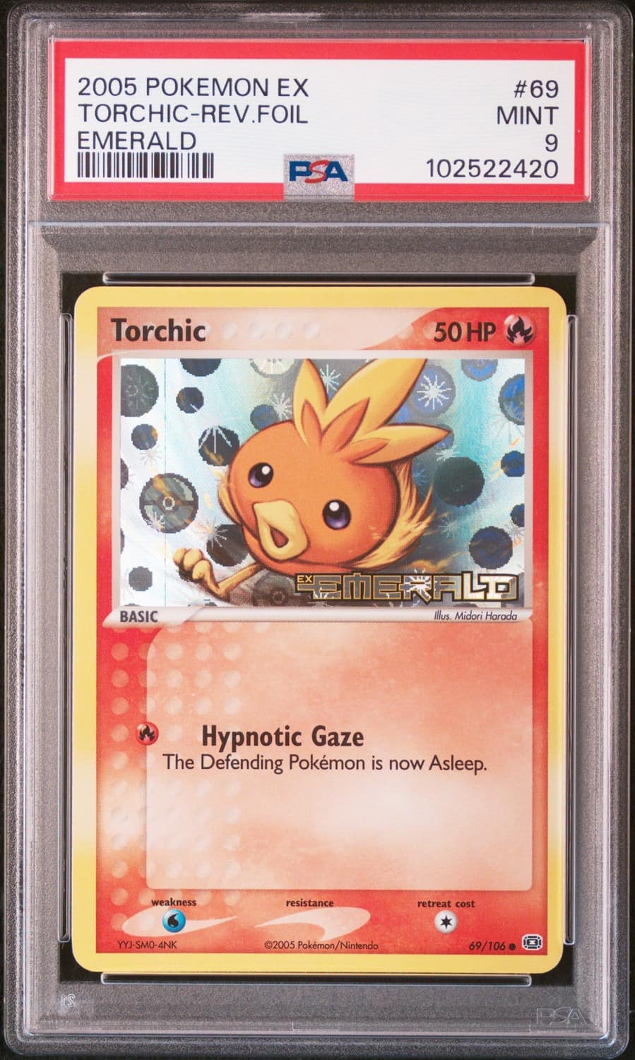 Torchic