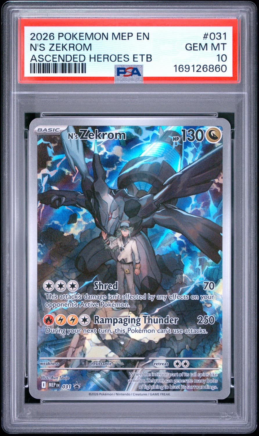 N'S Zekrom