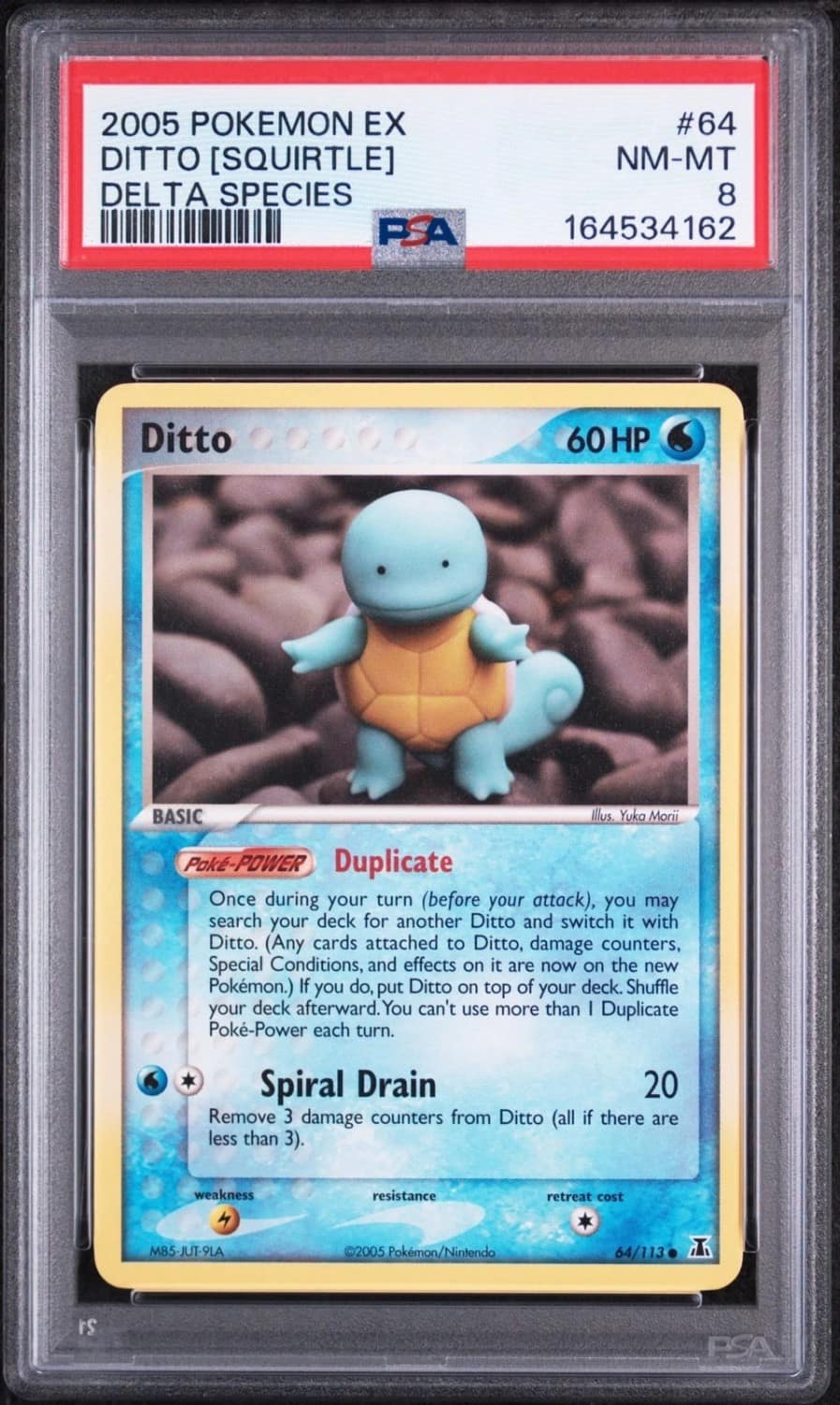 Ditto [squirtle]