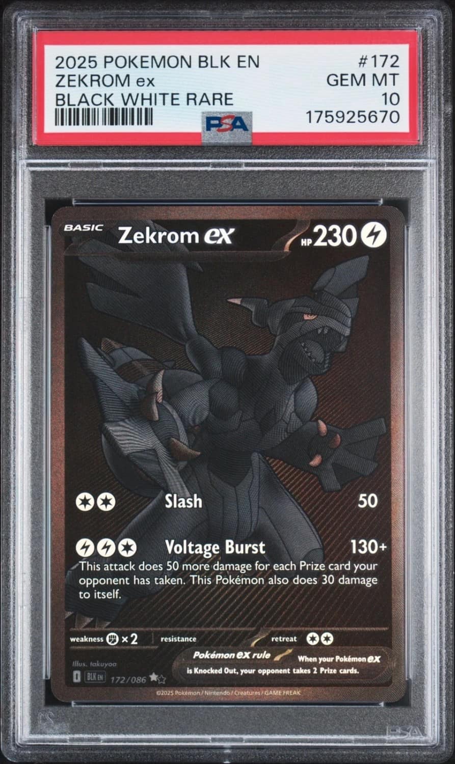 Zekrom Ex