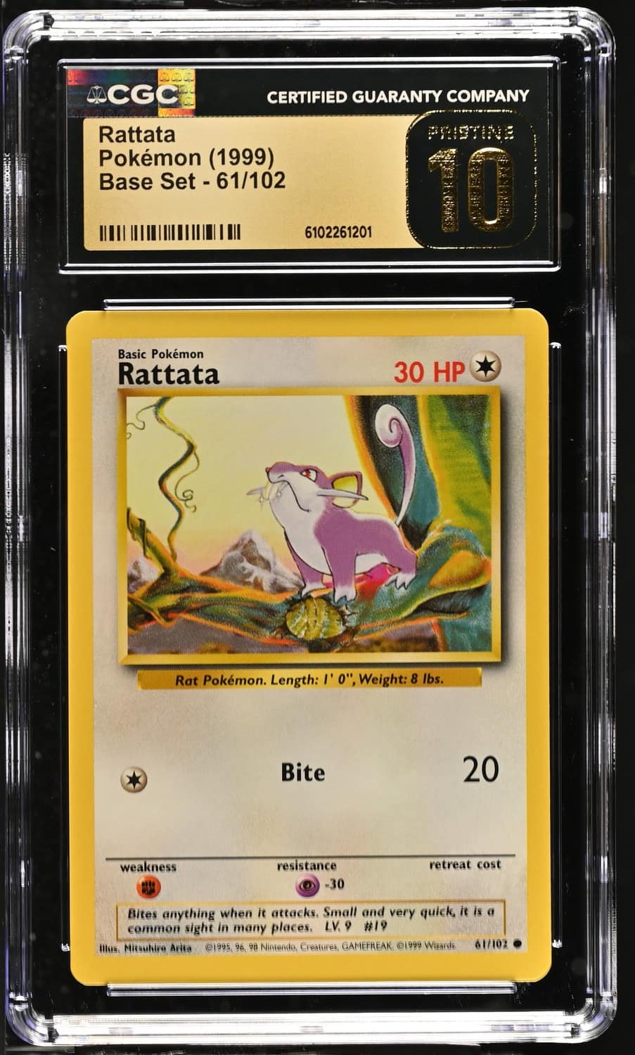 Rattata