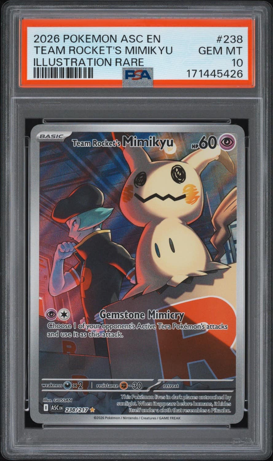 Team Rocket'S Mimikyu