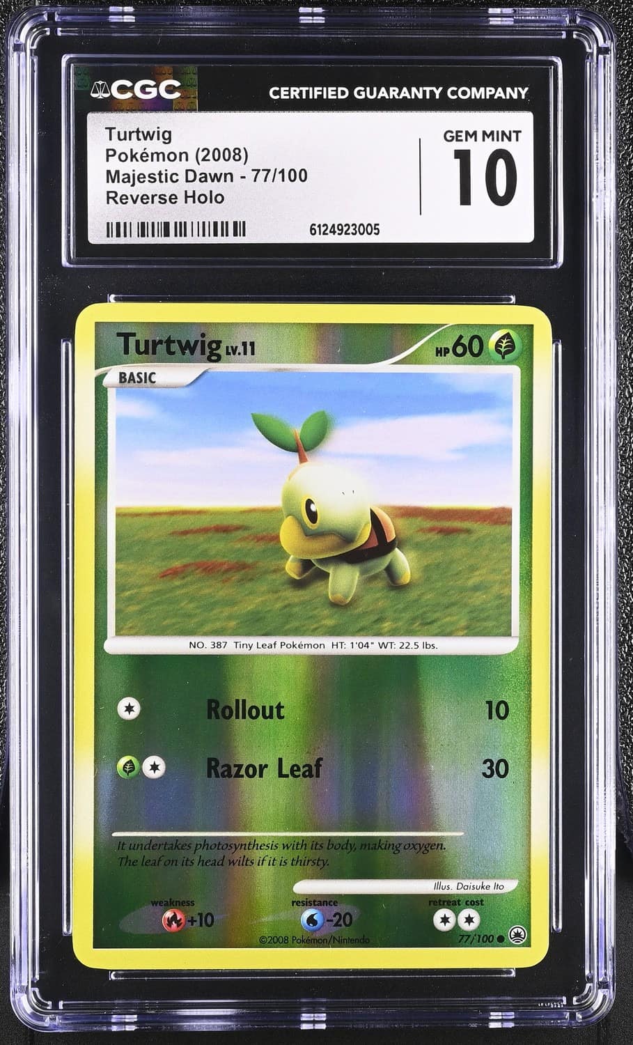 Turtwig