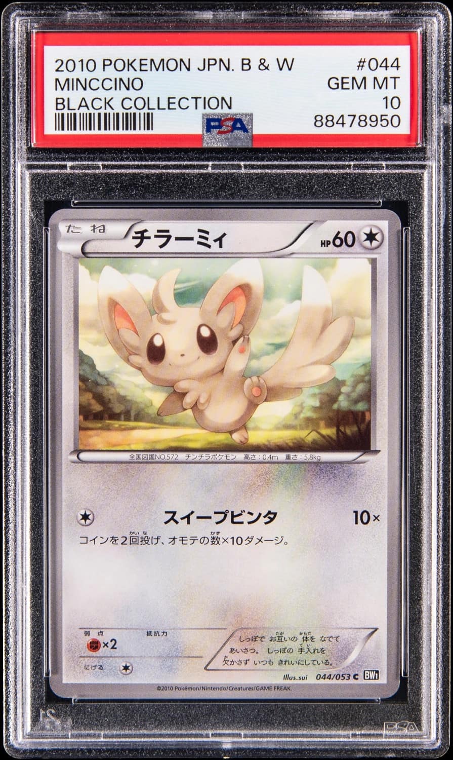 Minccino