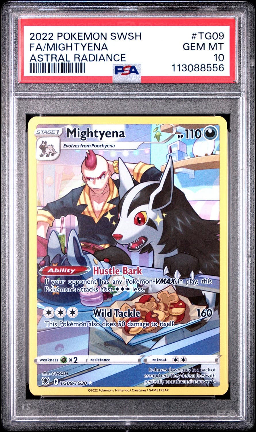 Mightyena