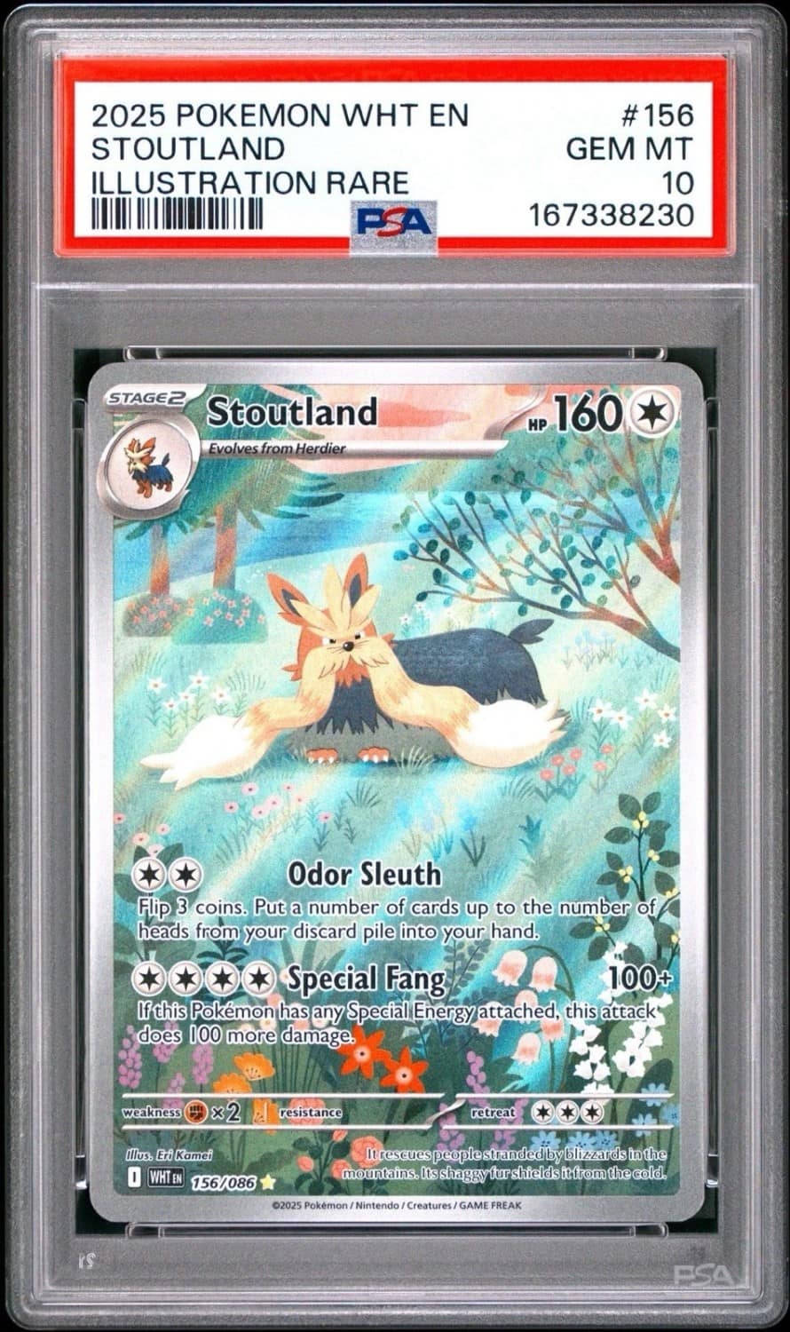 Stoutland